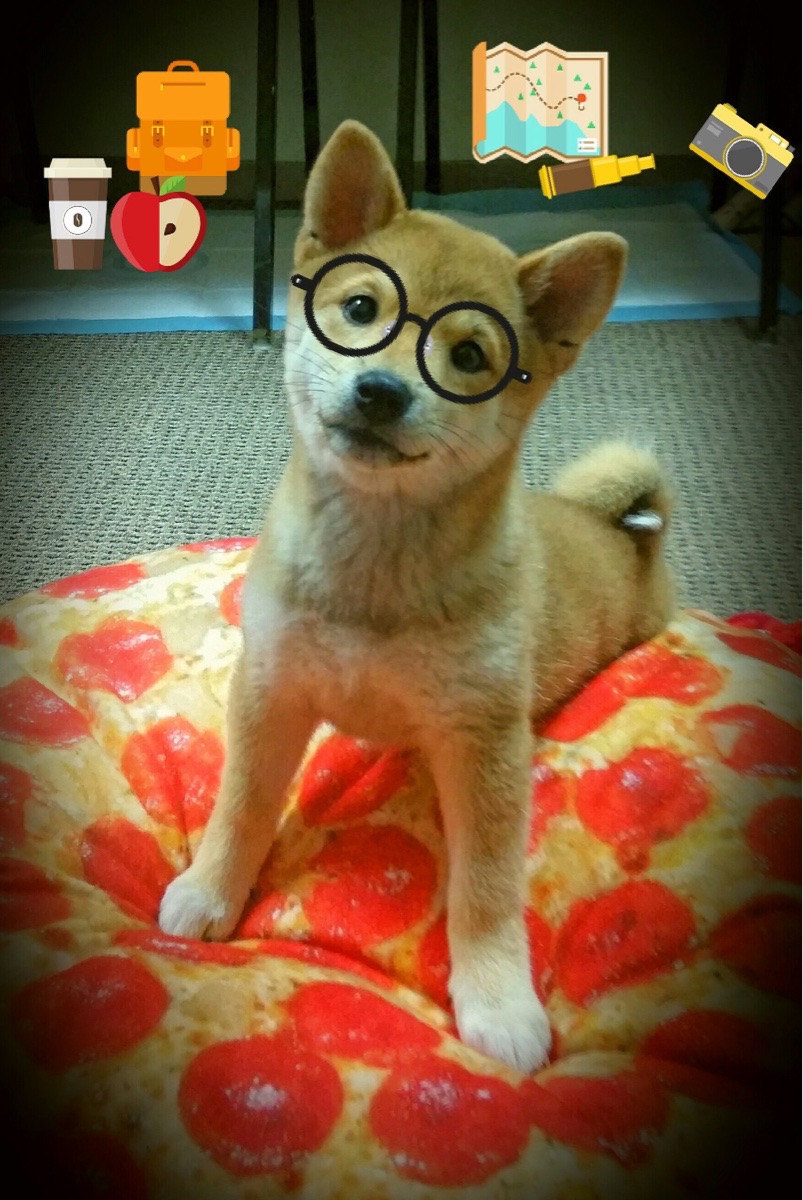 斯洛文尼亚女篮在欧洲锦标赛中取得突破,环环相扣